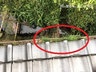 2017.12.5 樋 前 4-1