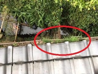 下関市内にお住まいのお客様から、樋の途中から雨水が落ちてくるので見て欲しいと依頼がありました。